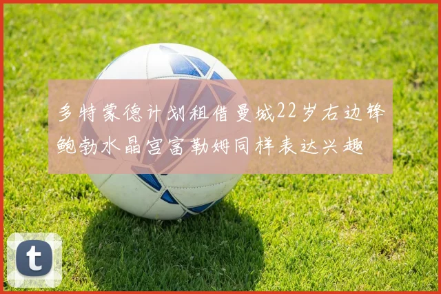 多特蒙德计划租借曼城22岁右边锋鲍勃水晶宫富勒姆同样表达兴趣